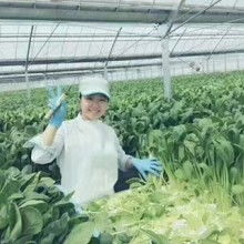 北京勞務(wù)派遣公司 供應產(chǎn)品